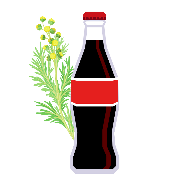 Cola